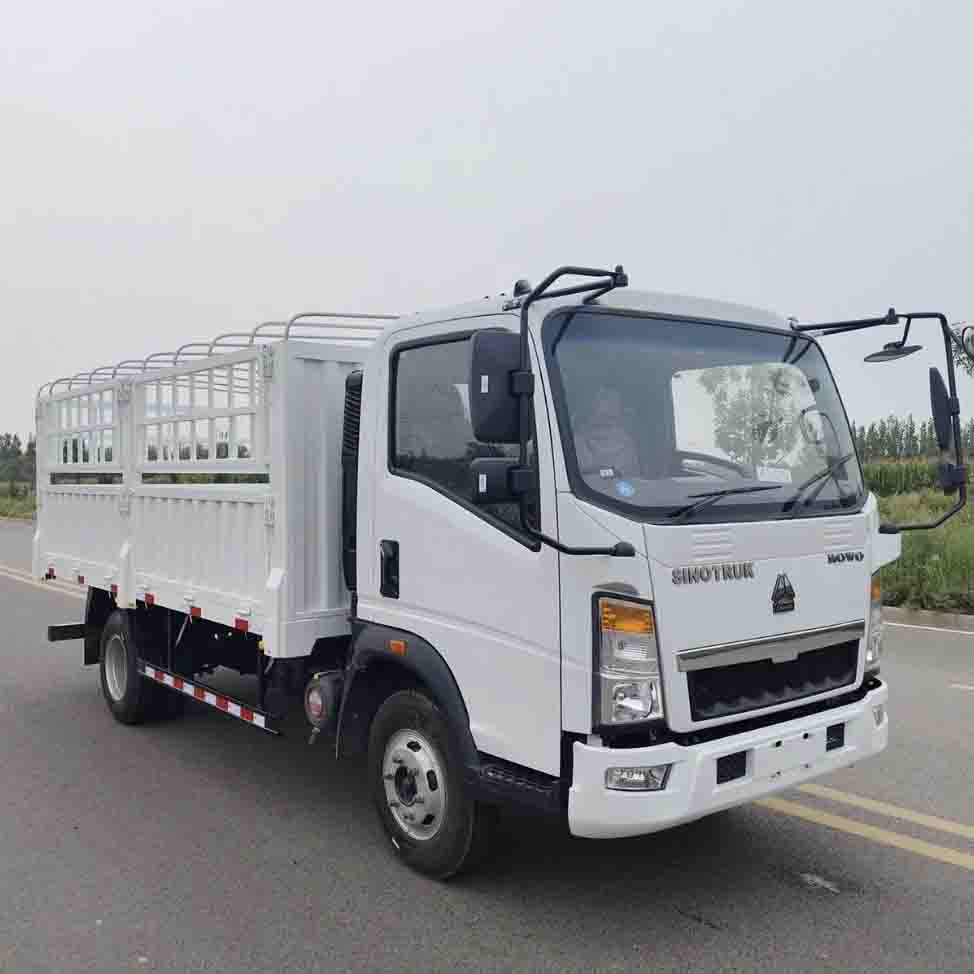 Sinotruk Howo 4x2 Svetlý nákladný nákladný automobil
